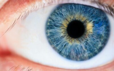 Augentropfen bei Bindehautentzündung » Tipps und Anwendung